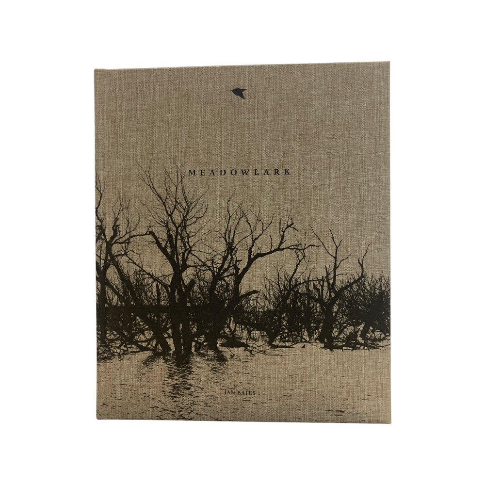 Meadowlark- by Ian Bates - DEADBEAT CLUB
